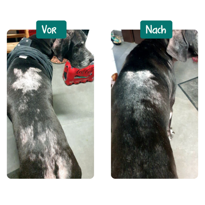 Probiotique Anti-Demangeaisons