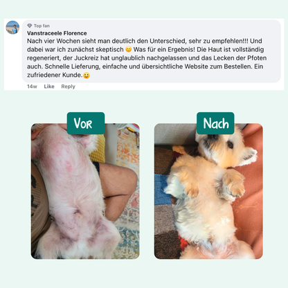 Probiotique Anti-Demangeaisons