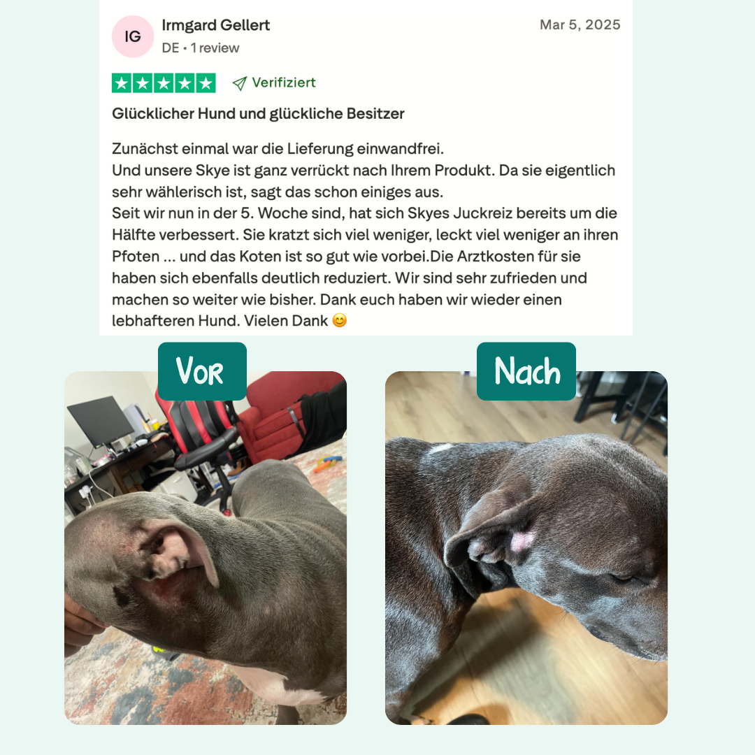 Probiotique Anti-Demangeaisons