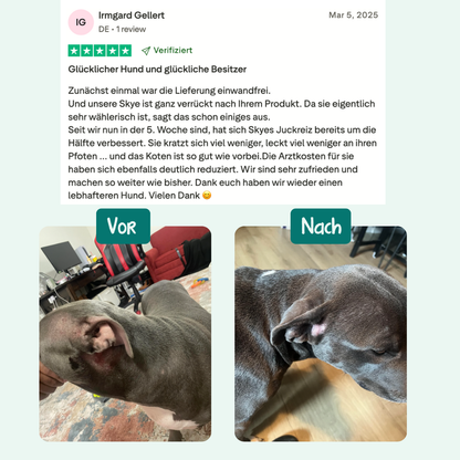 Probiotique Anti-Demangeaisons