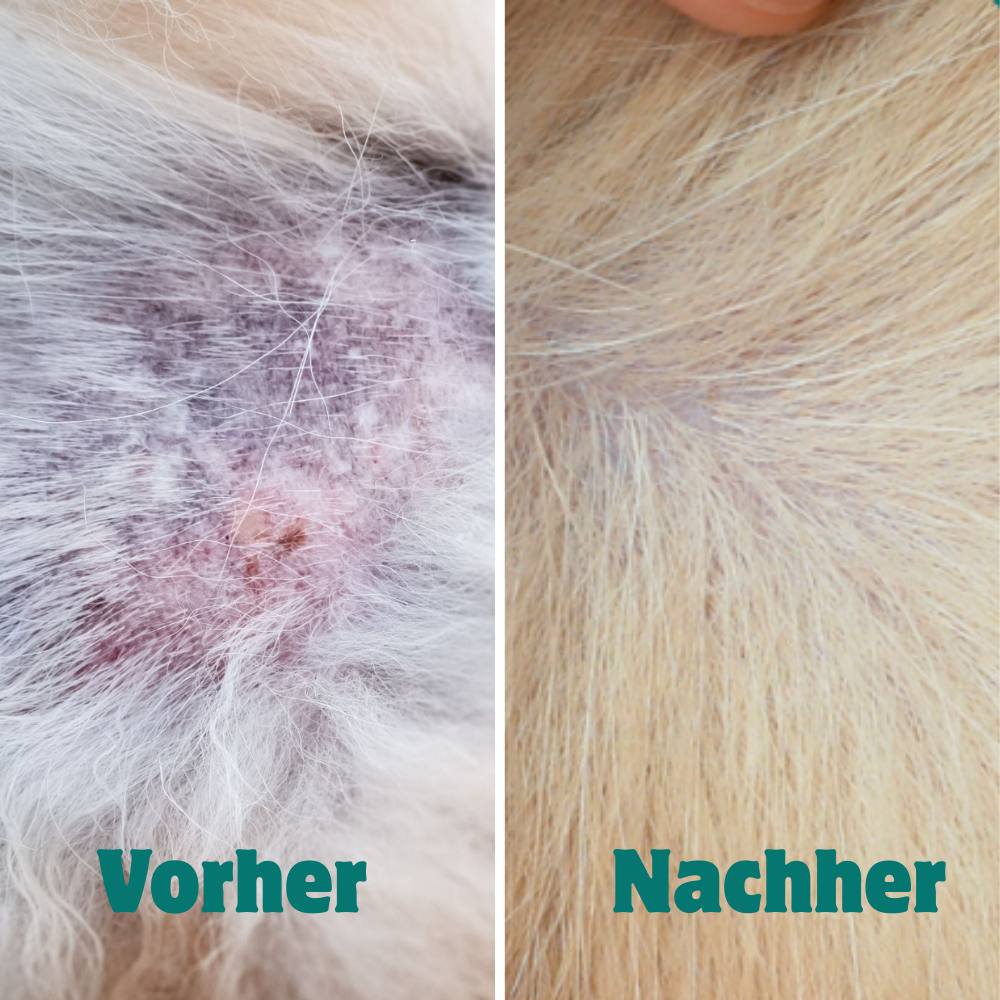 Spray Anti-Demangeaisons