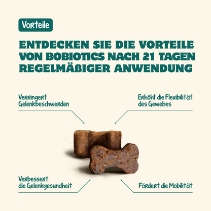 Hanche & Articulations