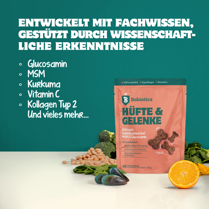 Hanche & Articulations