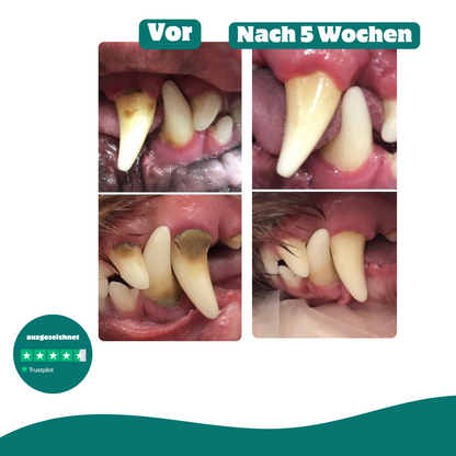 Haleine Fraiche & Dents